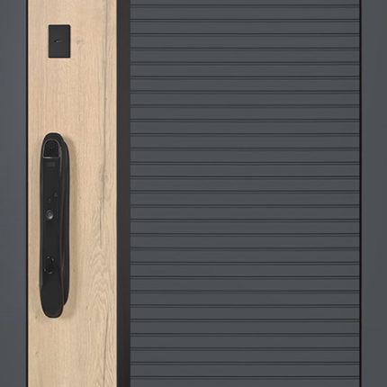 Стальная дверь "Авангард" (биометрический замок)