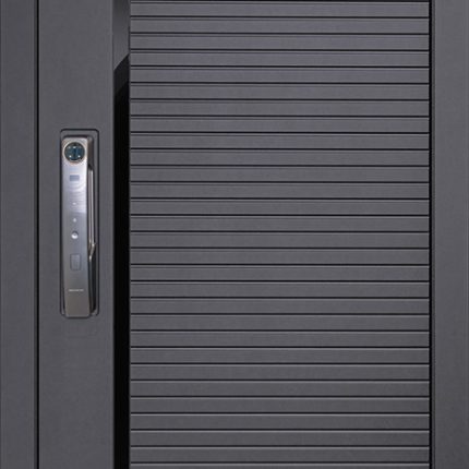 Стальная дверь "Antro". Заказная модель.