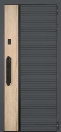 Стальная дверь "Авангард" с зеркалом (биометрический замок)