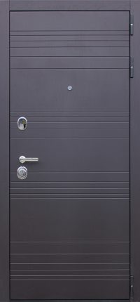 Стальная дверь "Дуэт". Заказная модель.