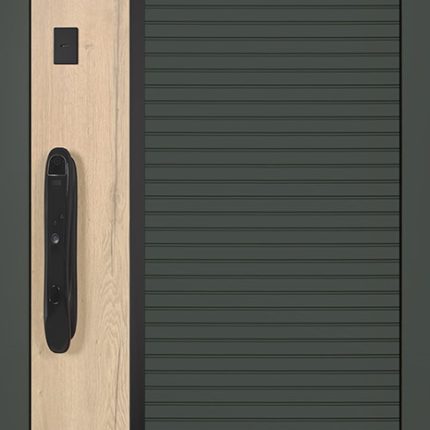 Стальная дверь "Ferrum" (биометрический замок)