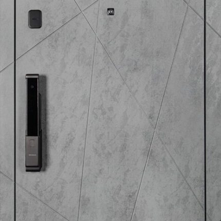 Стальная дверь "Сантос". Заказная модель.